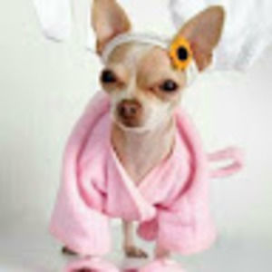 Meet your Posher, Veronica